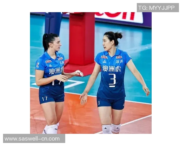 赛后分析：深圳排球队与杭州排球队的表现与状态对比解析